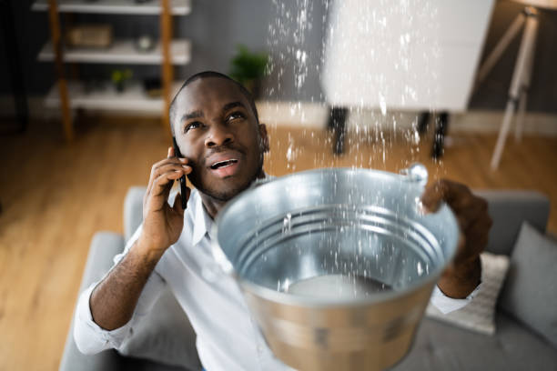 Best Flood damage cleanup  in Millsboro, DE
