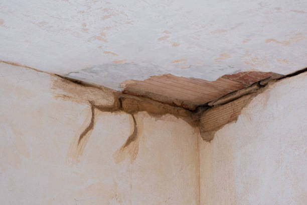 Best Local water damage restoration  in Millsboro, DE