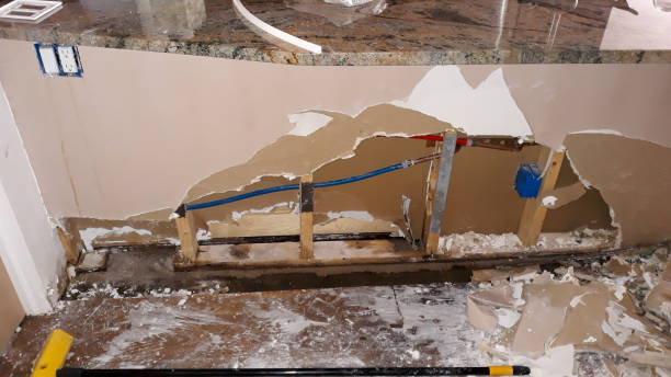 Best Water damage restoration near me  in Millsboro, DE