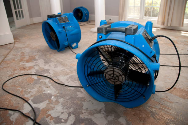  Millsboro, DE Water damage restoration Pros