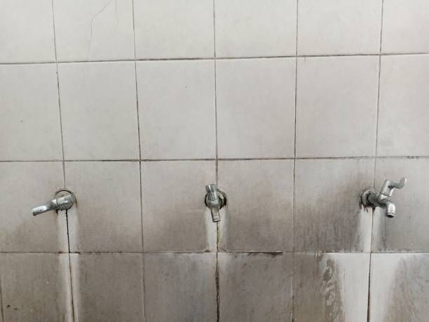 Best Professional water damage repair  in Millsboro, DE