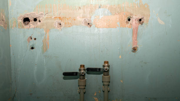 Best Water damage restoration services  in Millsboro, DE
