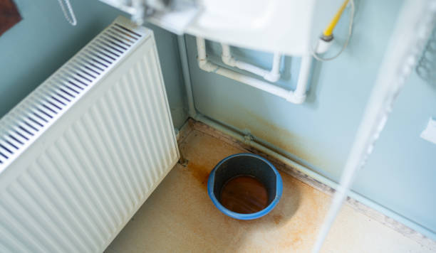 Best Flood restoration services  in Millsboro, DE