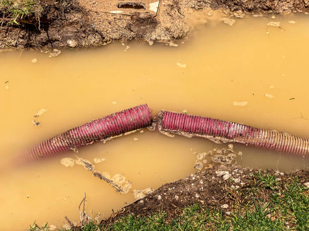 Best 24-hour water damage restoration  in Millsboro, DE