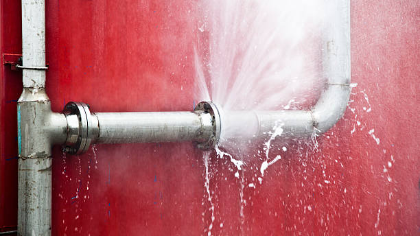 Best Flooded house restoration  in Millsboro, DE